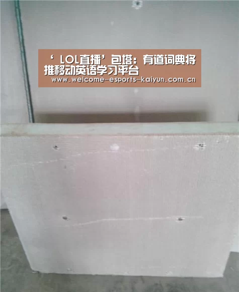 ‘ LOL直播’包塔:有道词典将推移动英语学习平台(图2) 电竞官网
